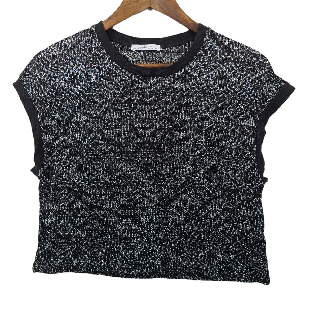 Zara Basic Metallic Knit Crop Top Small